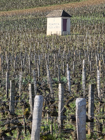 Burgundija