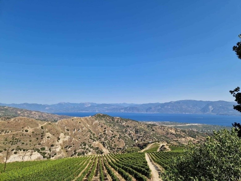 Vyno zurnalas Graikija