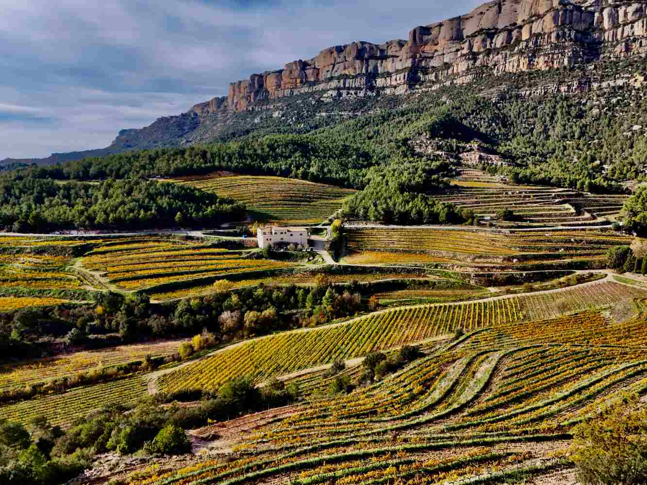Priorat Vyno zurnalas photo by Modestas Vitkauskas