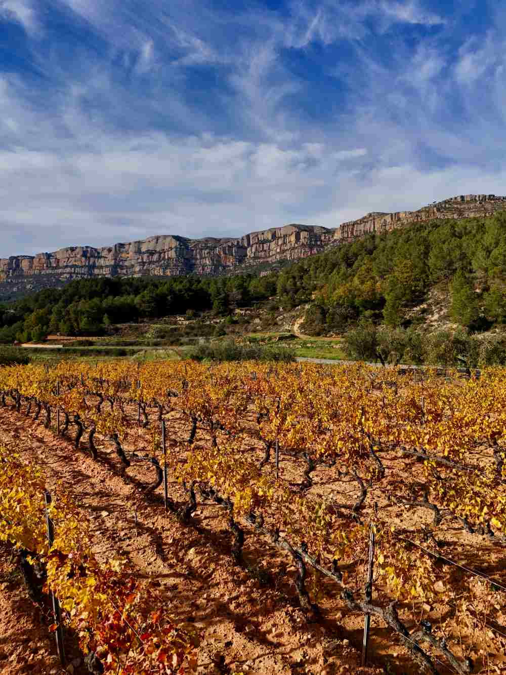 Priorat Vyno zurnalas photo by Modestas Vitkauskas