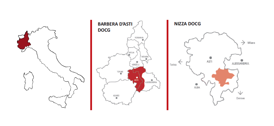 Barbera Asti ir Alba