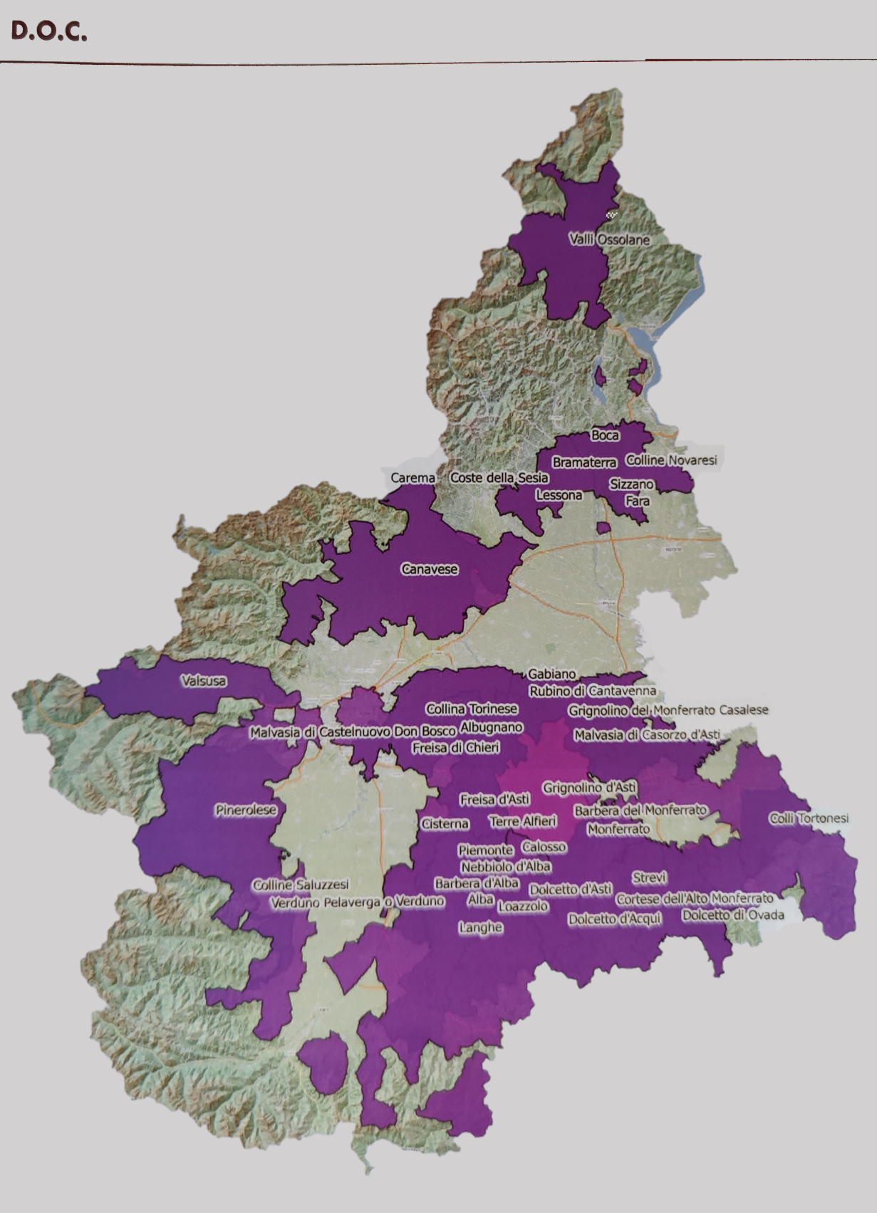Užmirštos Pjemonto veislės - Vyno žurnalas