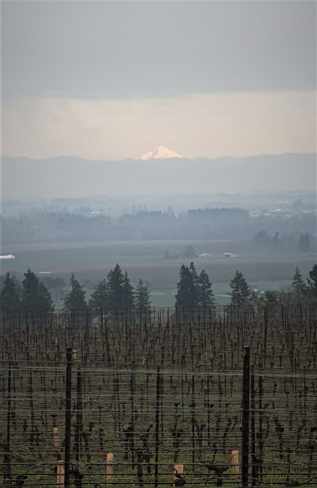 Oregon