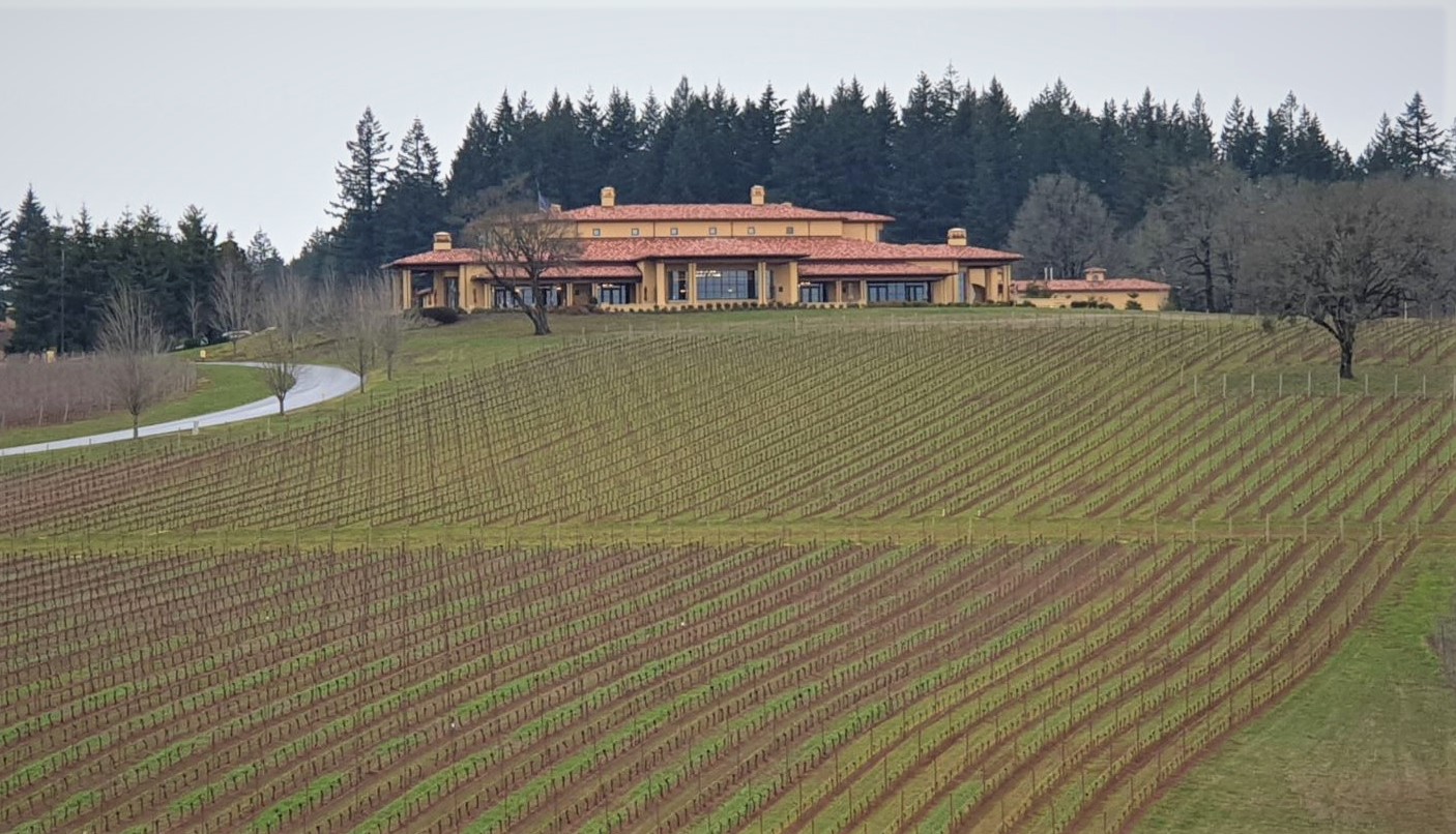 JAV Oregonas Pinot Noir USA Oregon Serene Dundee