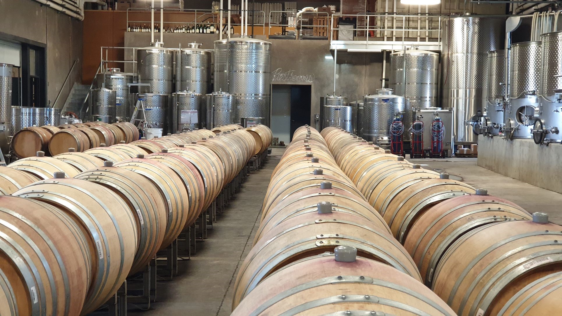 JAV Oregonas Pinot Noir USA Oregon