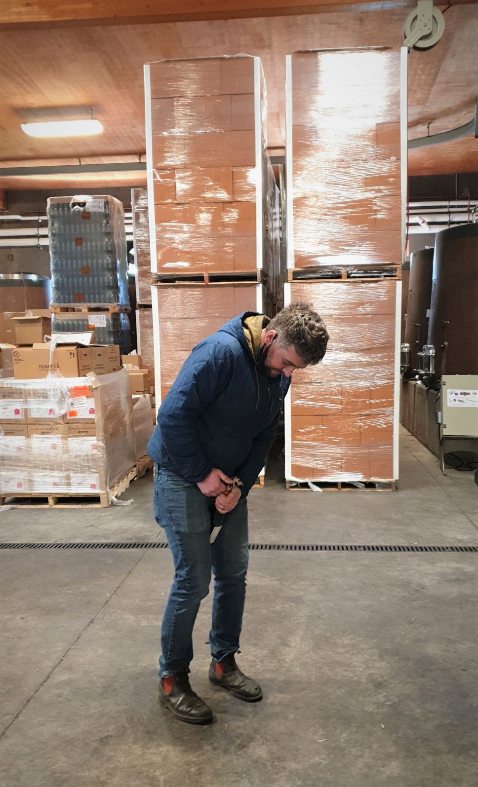 Oregonas JAV Pinot Noir Lingua Franca