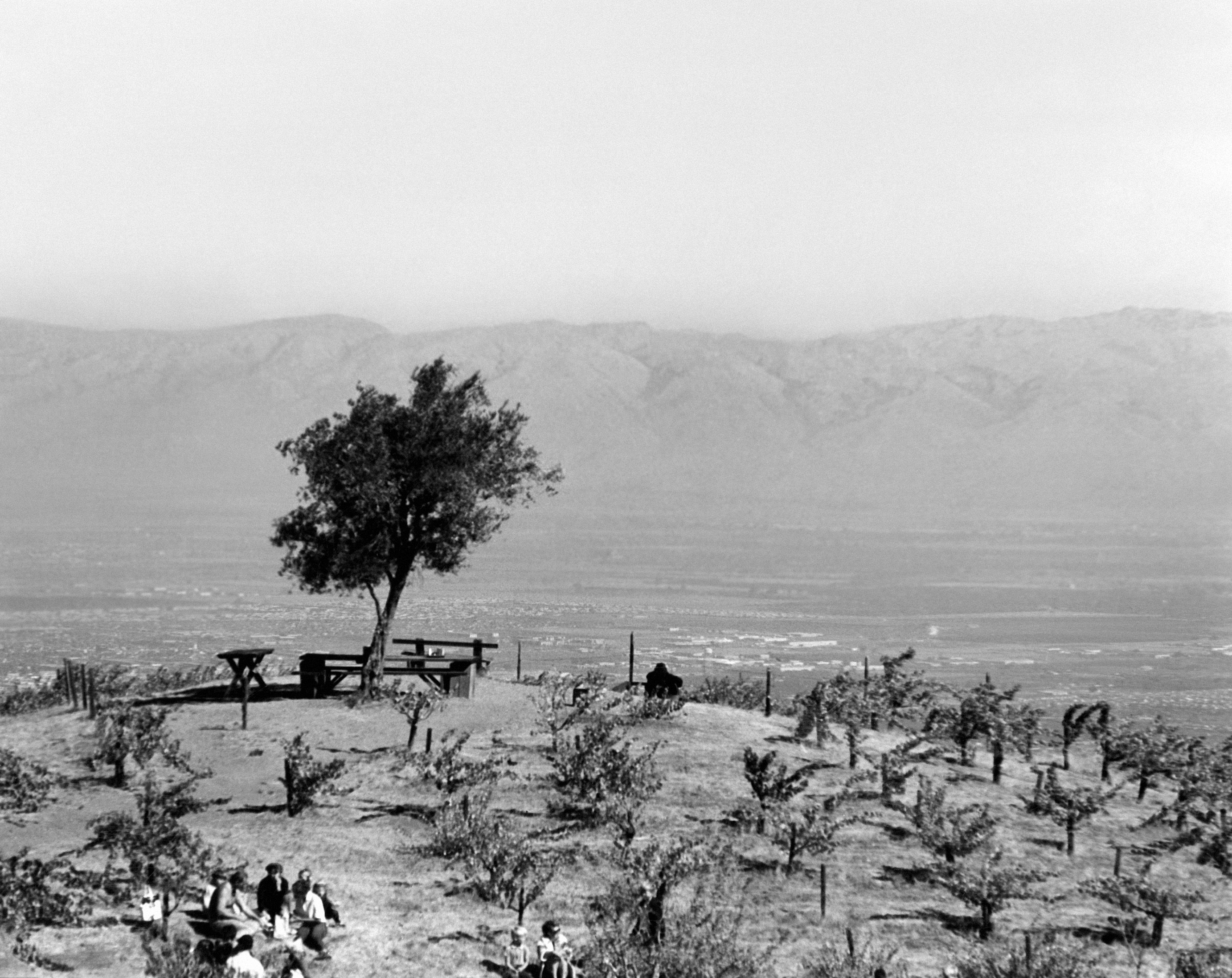 Ridge Monte Bello 