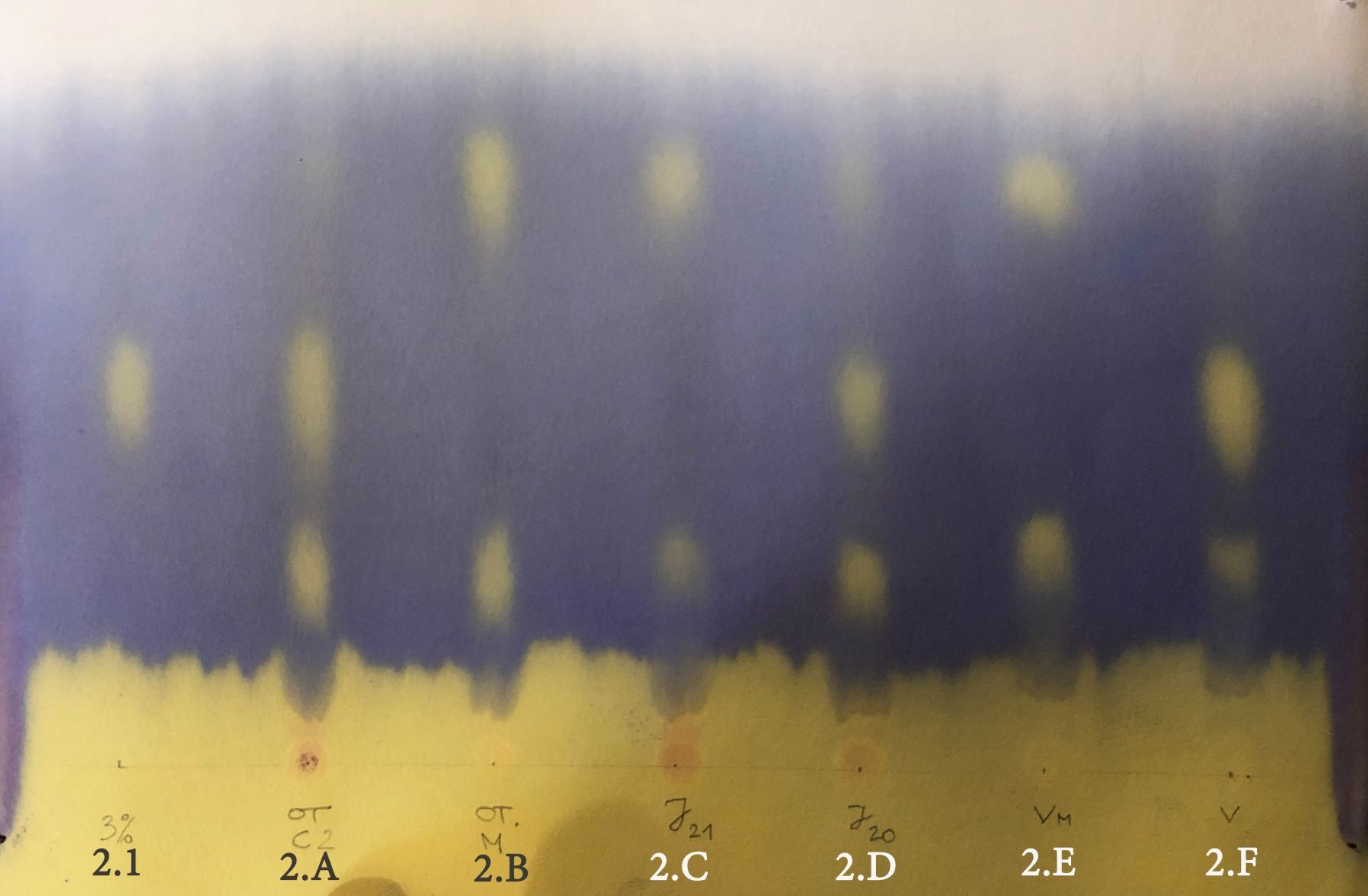 malolaktinė fermentacija popieriaus chromatografija