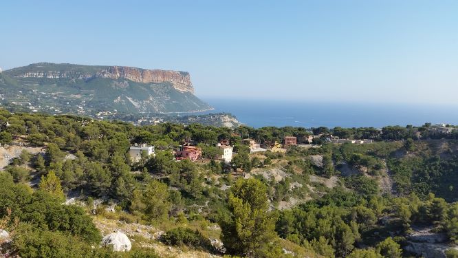 Cassis Provanse
