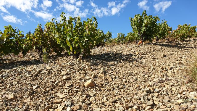 Cotes de Brouilly blue stones